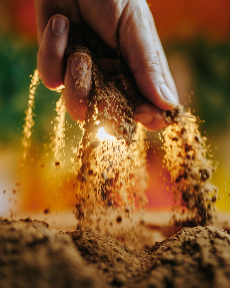 A gorgeous shot of a farmer's hands holding rich, brown soil with selective focus on the palms