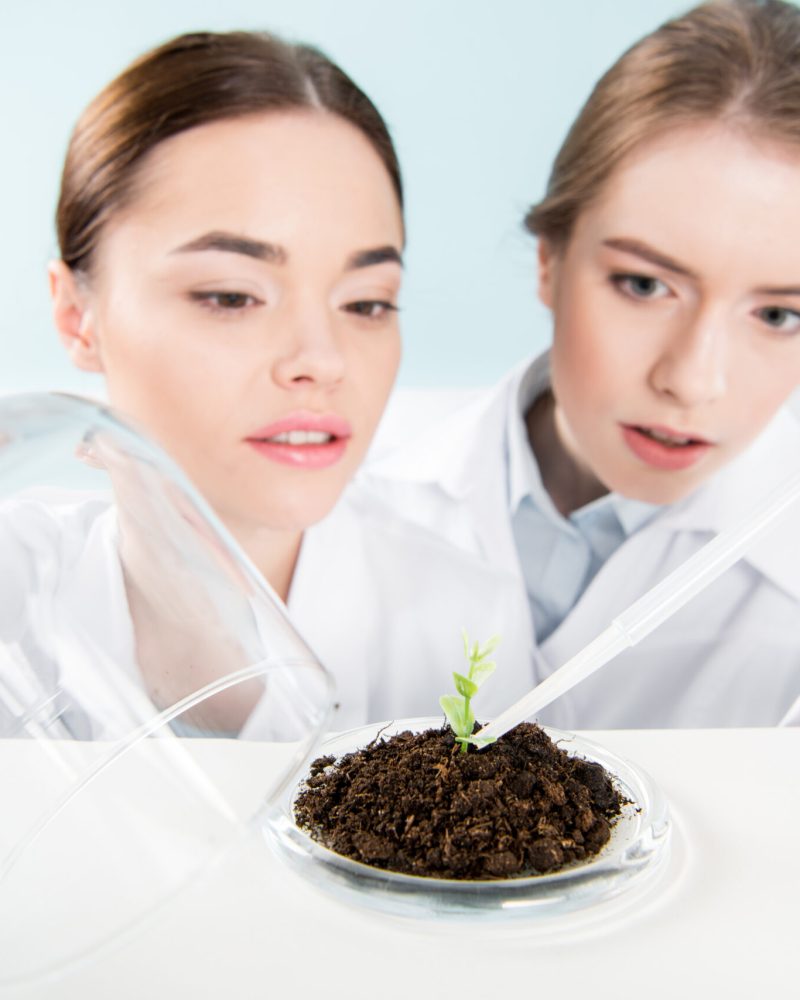 Concentrated female scientists working with pipette and green plant in soil